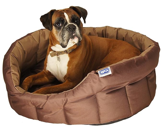 Lifemax RSPCA Extra Tough Dog Oval Bed, Small Amazon.co.uk Pet Supplies