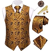 Dubulle Mens Vest and Tie Set Paisley Floral Waistcoat Neckties for Men Lapel Pin Clip Set Wedding Business
