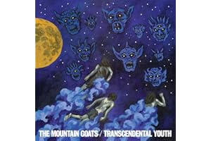 TRANSCENDENTAL YOUTH
