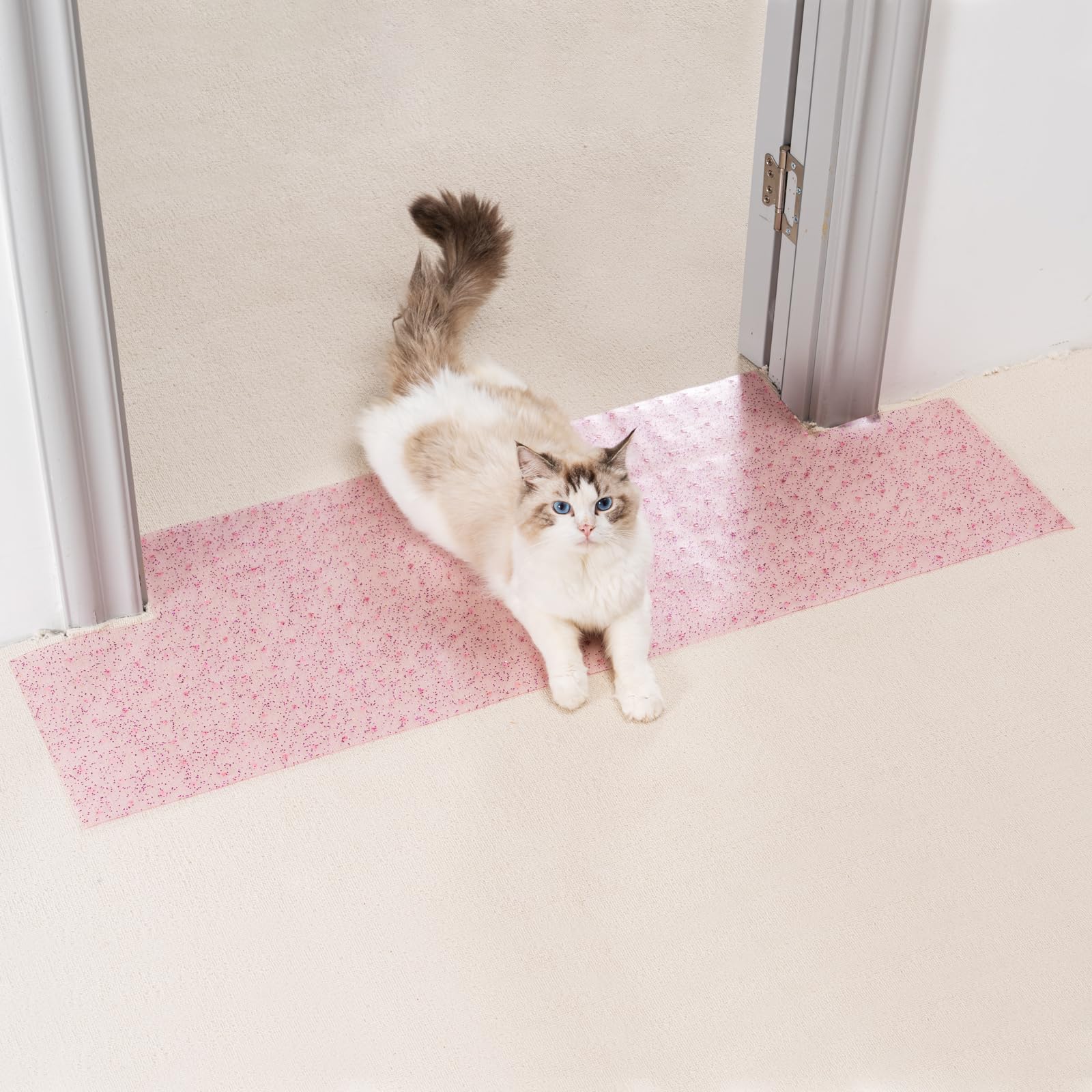 Uross Carpet Protector for pets - Cat Carpet Protector for Doorway, Anti Scratch Under Door Cats Scratch Protectors Mat, Easy to Cut Plastic Carpet Stopper, Cat Scratch Guard Carpet 110CM-Purple