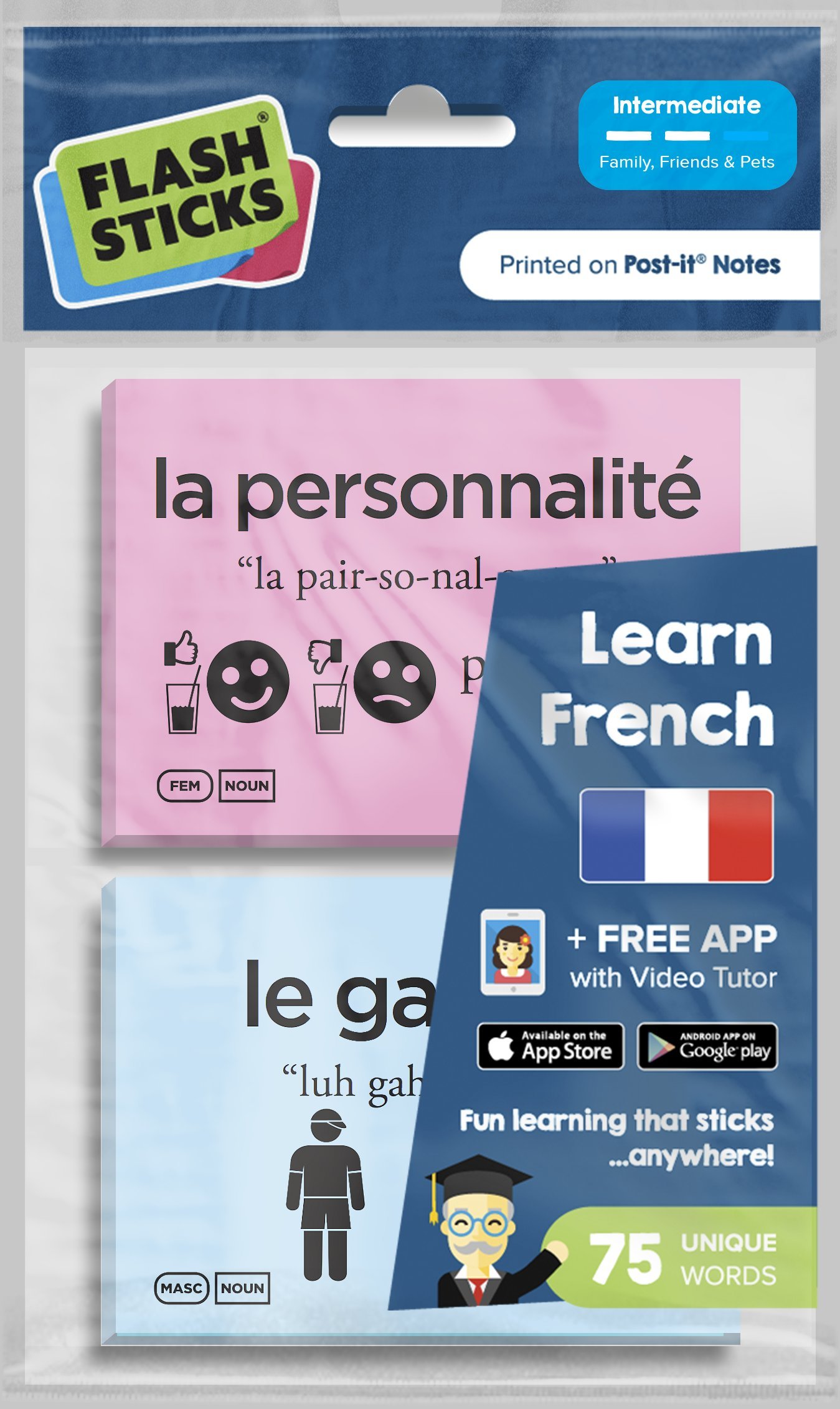 FlashSticks French Intermediate "Family, Friend & Pets" Post-it Notes (75 words)