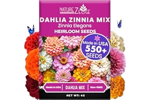 NatureZ Edge Zinnia Seeds for 2026 Planting Outdoors, Over 550 Flower Seeds, 4g, Non GMO Made in USA, Bulk Semillas De Flores para Sembrar, Dahlia Mix, Easy to Grow Zinnia Seed Mix