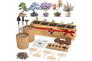 PLANTMEW 5 Pack Bonsai Tree Kit - Unique Gardening Gift Set for Plant Lovers | Complete Japanese Bonsai Starter Kit with Seeds, Tools & Planters | Ideal Christmas, Birthday Gifts for Women & Men