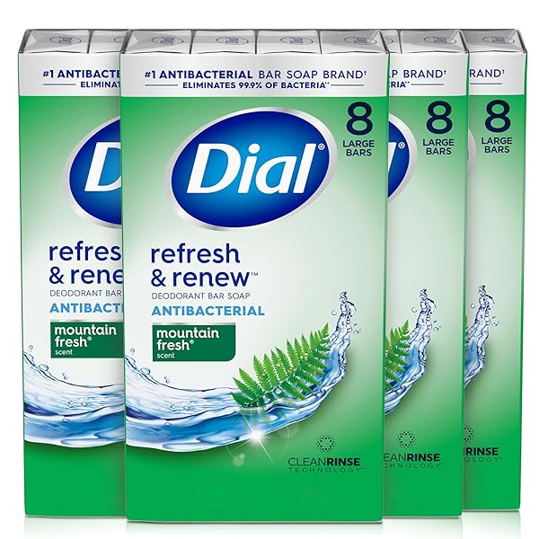 DIAL ANTIBACTERIAL BAR SOAP, REFRESH & RENEW, MOUNTAIN...