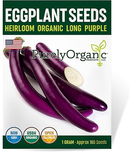 Amazon.com : Eggplant Seeds - Black Shine - Hybrid - 500 Mg