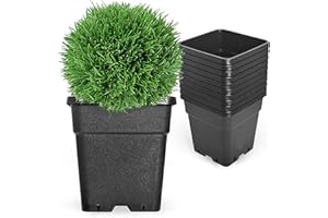RainMan S 10-Pack 5 Gallon Square Planter Nursery Pots, Flower Plant Container Injection Molded Plastic Nursery Pots Gardening Pots for Indoor Outdoor Vegetables, Succulents, Black