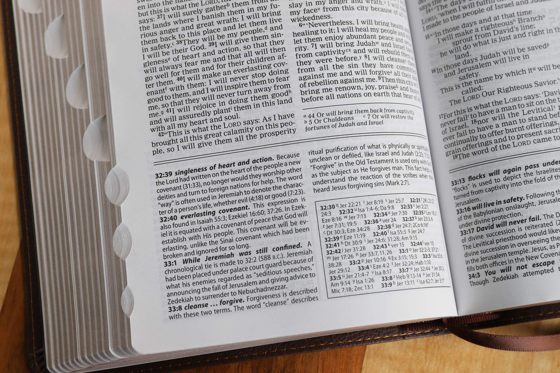 NIV, Foundation Study Bible, Leathersoft, Brown, Red Letter, Thumb Indexed