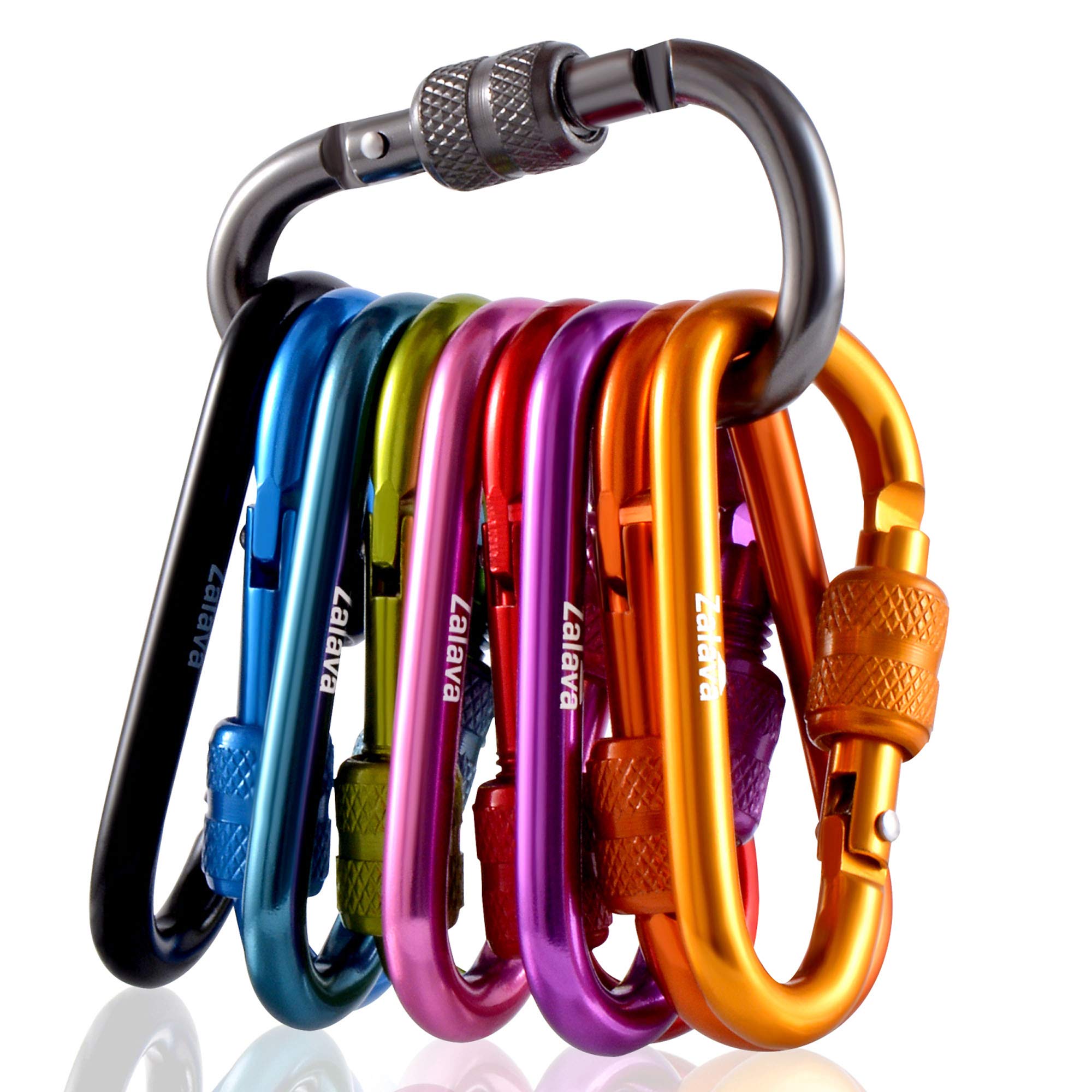 Zalava Carabiner Clips, D Ring Locking Carabiners, Aluminum Alloy Key Chain Hook for Camping, Fishing, Hiking Traveling, Durable and Lightweight (10 Pcs Colors)