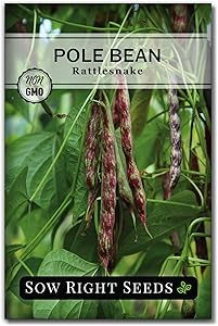 Sow Right Seeds - Rattlesnake Pole Bean Seed for Planting  - Non-GMO Heirloom Packet with Instructions to Plant a Home Vegetable Garden