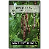 Sow Right Seeds - Rattlesnake Pole Bean Seed for Planting Vegetable Garden | Plant fresh stringless non-GMO heirloom variety for outdoor home gardening. Vining veggies for growing vegetables outside.