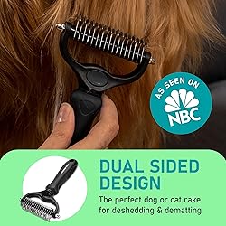 Maxpower Planet Hair Brush - Double Sided