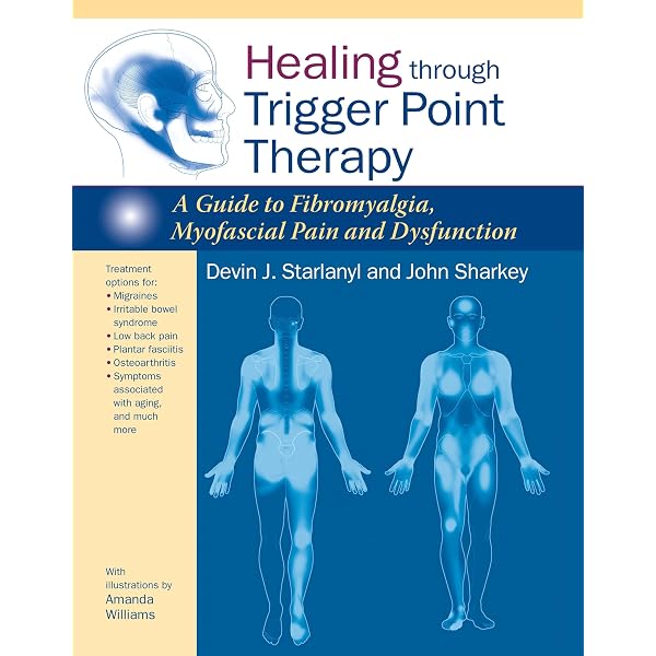 健康・医学 Imaging Painful Spine Disorders // 2011 Imaging Painful Spine Disorders: 9781416029045: Medicine & Health