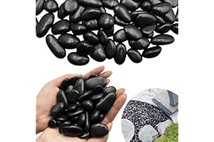 RITOLLO 6 Pound River Rocks, Decorative Black Pebbles for Indoor Plants, 0.5-1 Inch Garden Landscaping Stones, Home Decor, Natural Gravel Filler for Vase, Fish Tank, Aquariums