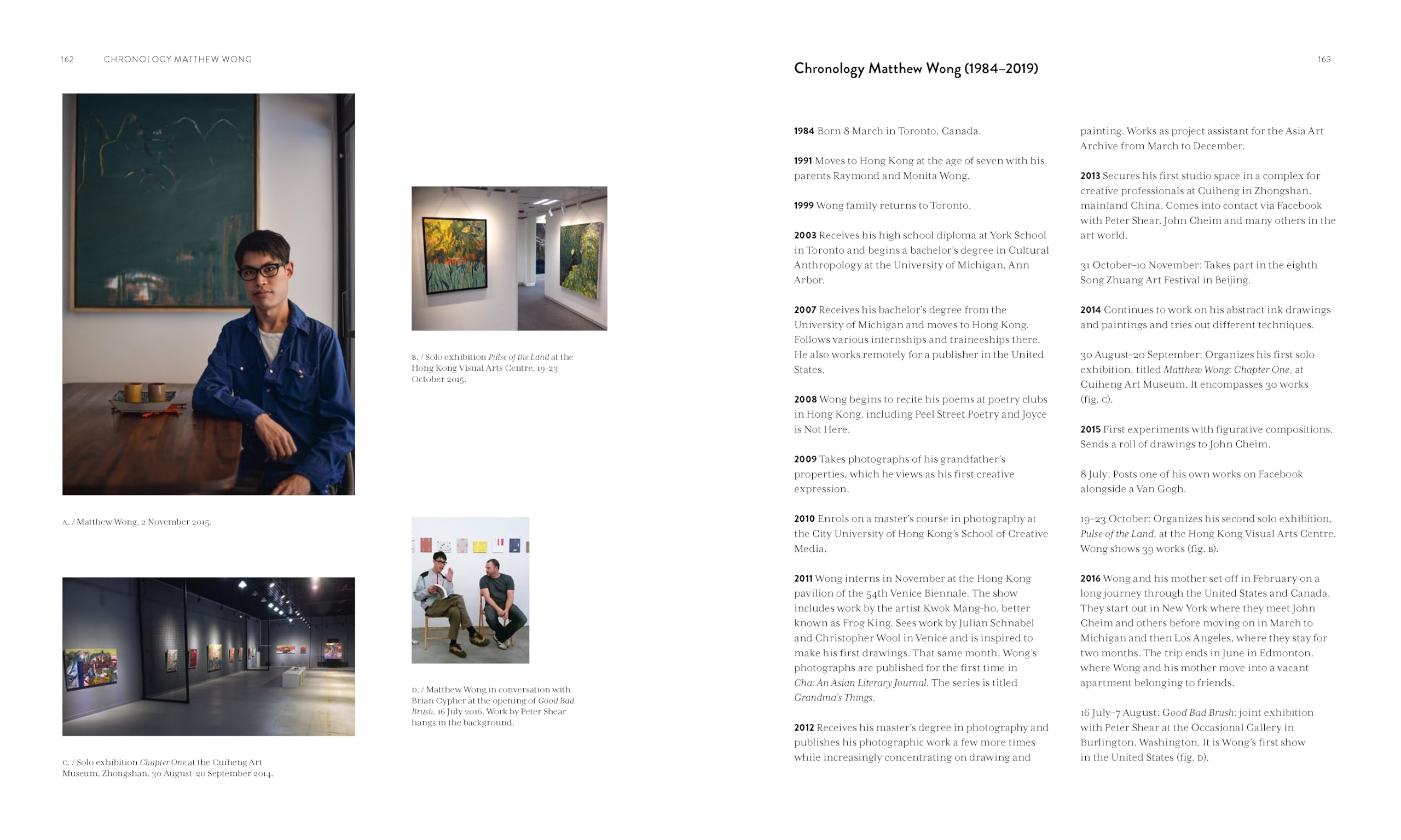 Matthew Wong - Vincent van Gogh: Painting as a Last Resort