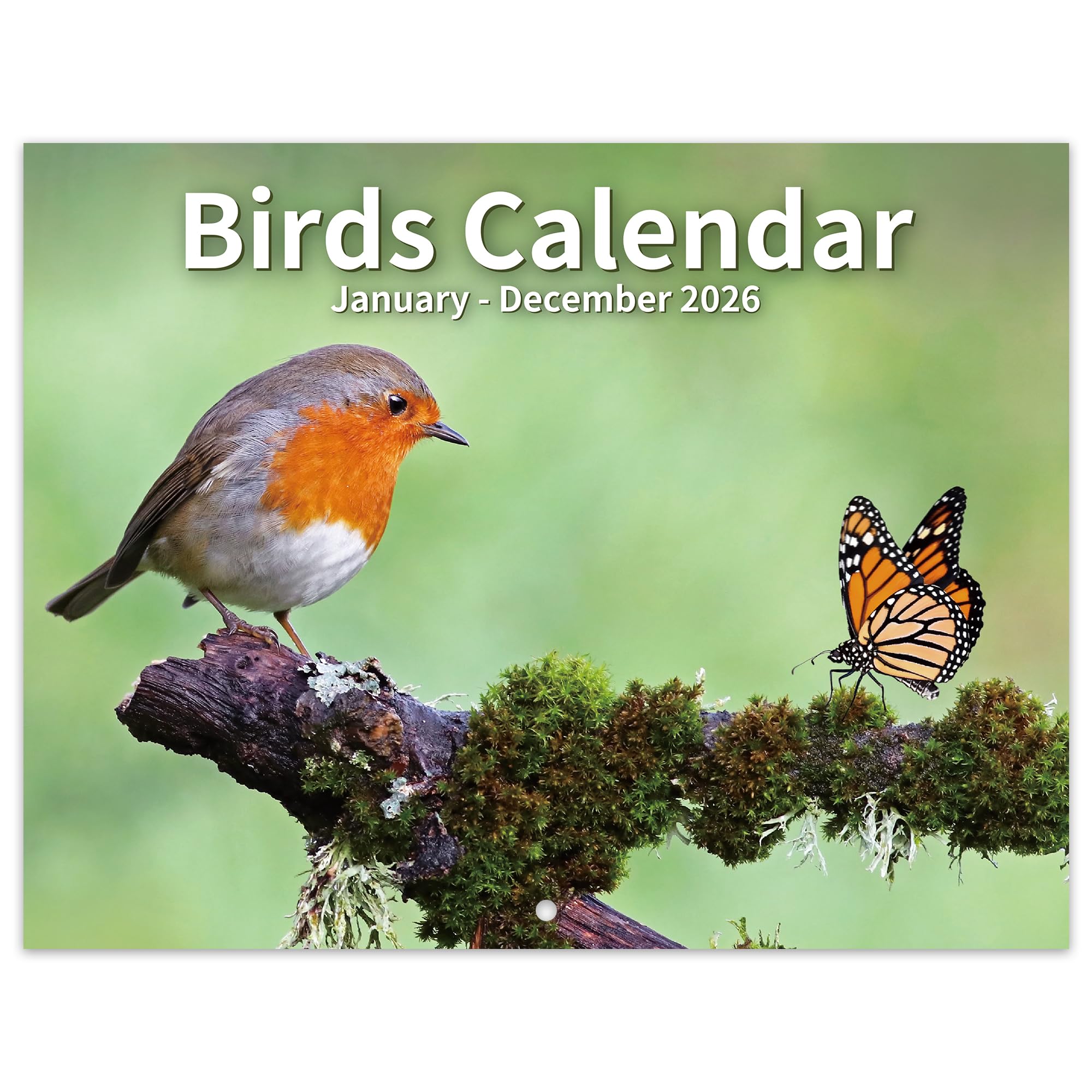 2026 Calendar - Birds Calendar 2026 UK from Jan. 2026 to Dec. 2026, A4 Wall Calendar 2026 UK month to view, 11" x 8.5", waterproof cover with unique bird image