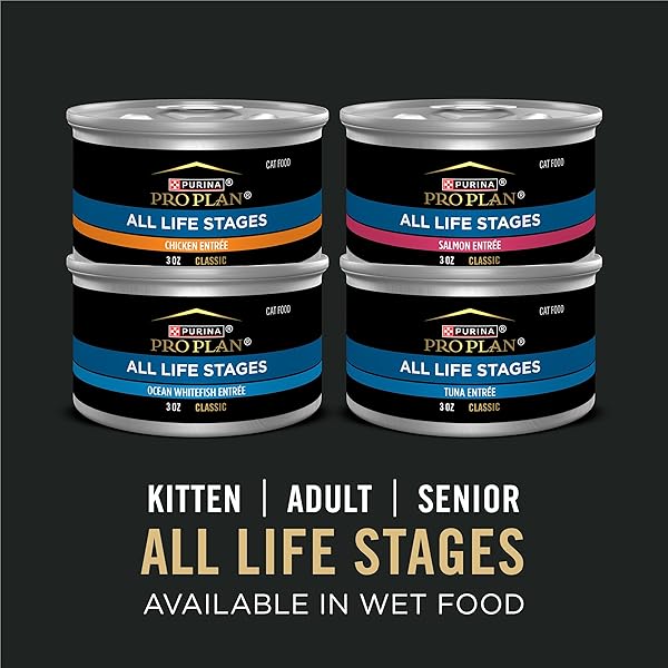 PURINA PRO PLAN ALL LIFE STAGES HIGH PROTEIN CAT FOOD CHICKEN AND RICE DRY KIBBLE 5.5 POUND (PACK OF 1)