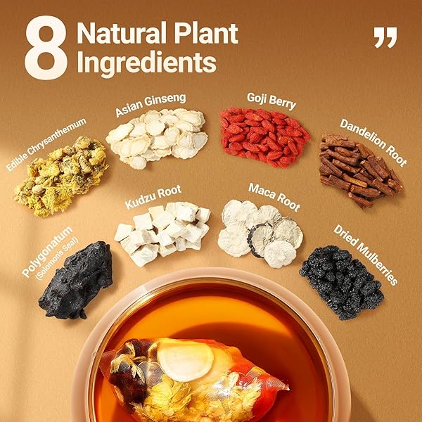 GINSENG FIVE TREASURES TEA – 30 BAGS, CAFFEINE-FREE, PURE HERBAL BLEND WITH 8 TRADITIONAL CHINESE HERBS KIDNEY TEA, GENTLE ENERGY & FOCUS FOR MEN AND WOMEN