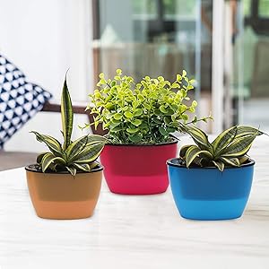 Kurtzy Self Watering Flower Pot for Garden Planters Indoor Outdoor Living Room Bedroom Balcony Table Vase Home Decor Assorted Colors Set of 3