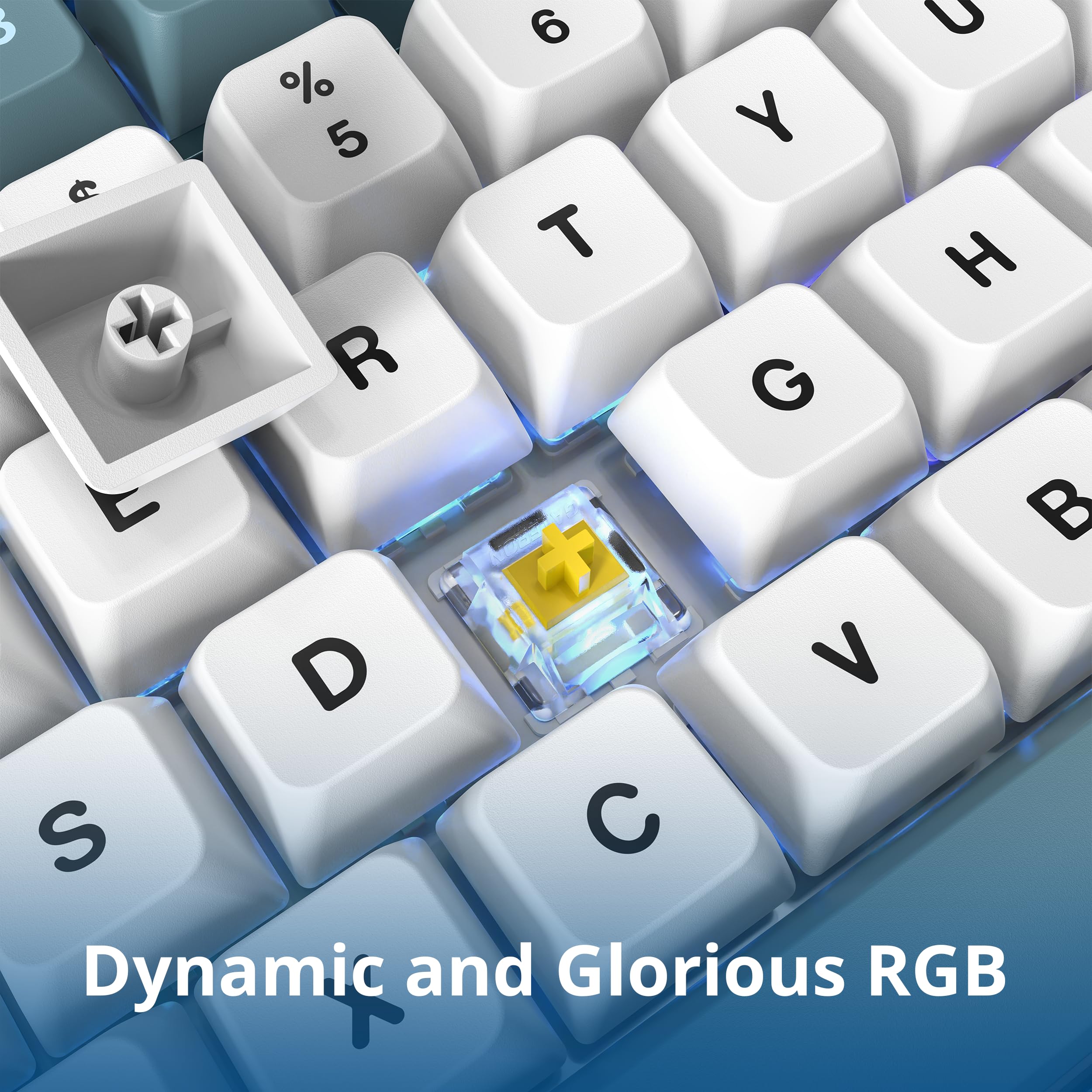 Montech MKey Mechanical Gaming Keyboard: Customizable RGB LED, Premium MDA Profile PBT Keycap, Hot-Swappable, Gateron G Yellow Pro 2.0 Pre-lubed Switches, Osaka Castle Theme, Freedom (MK105FY)