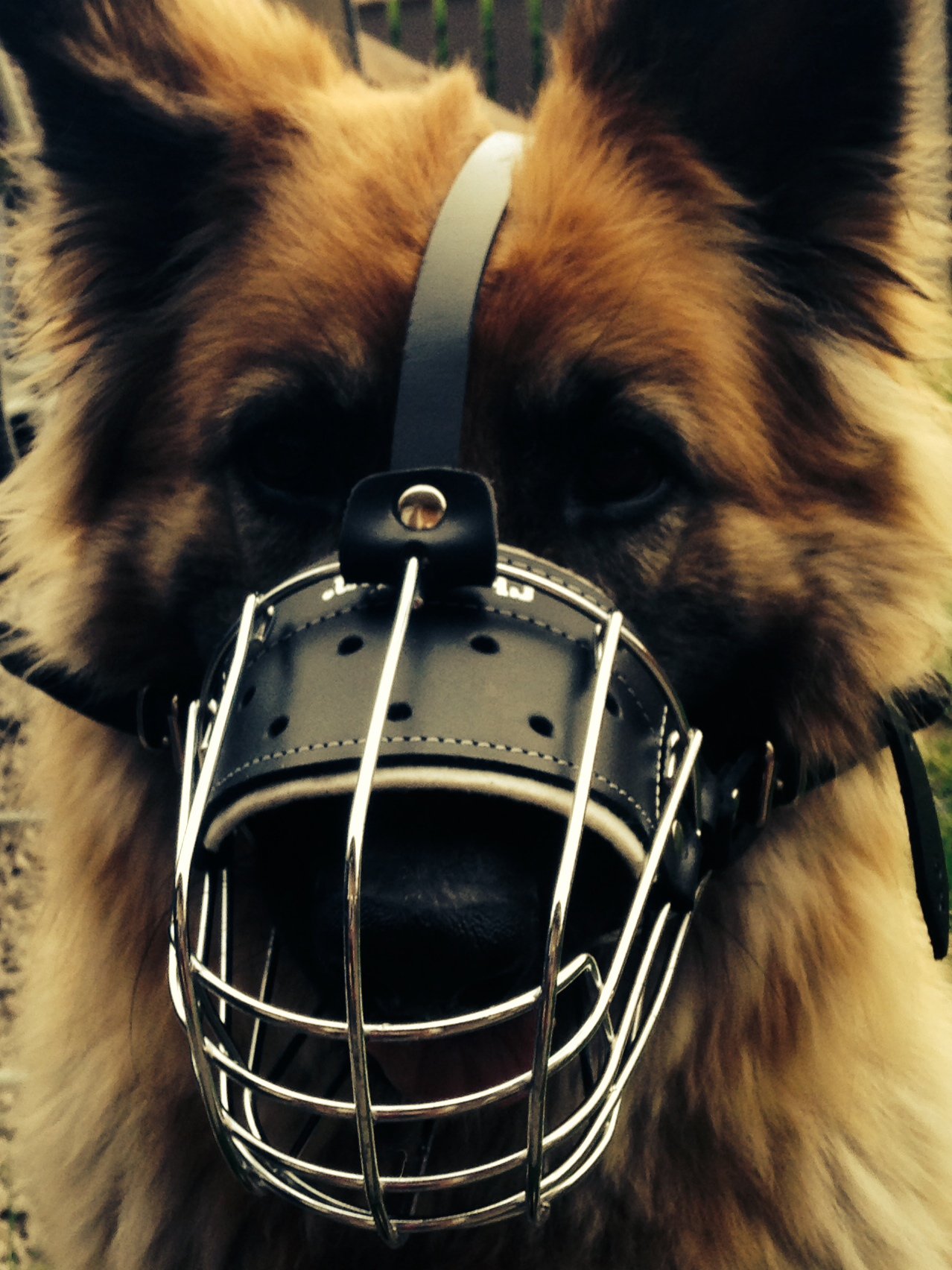 New Polymer coated Wire Muzzle Wire Basket Dog Muzzle STRONG Metal for German Shepherd, Labrador & other small dogs