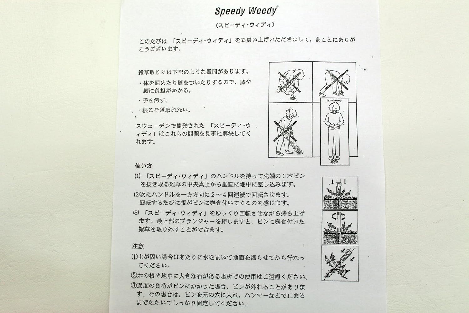 スピーディー ウィー ディー