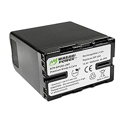 Wasabi Power Battery for Sony BP-U60 and Sony