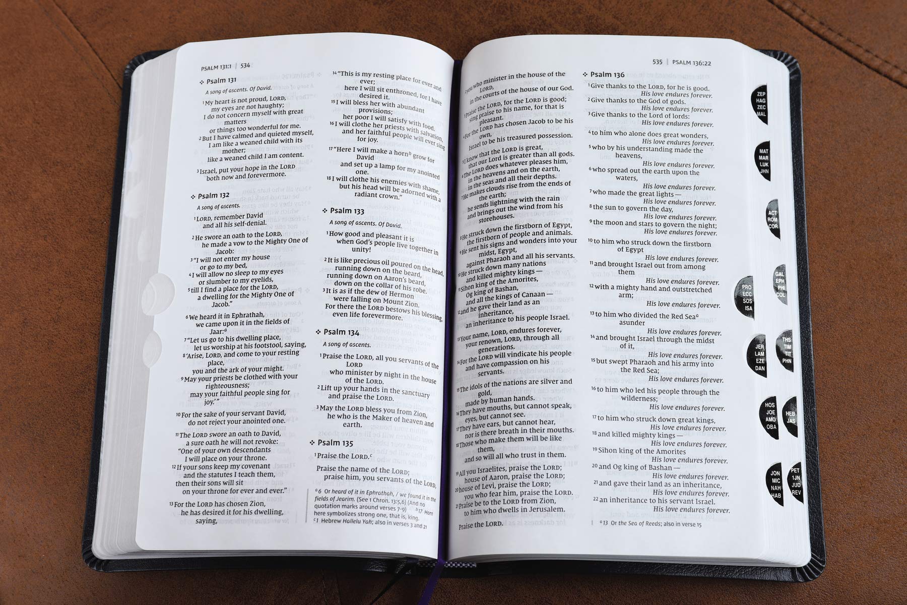 NIV, Thinline Bible, Bonded Leather, Navy, Red Letter, Thumb Indexed, Comfort Print