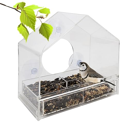 Best See Through Bird Feeders 10Reviewz