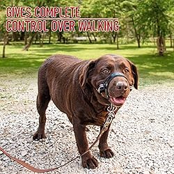 ALPHA BOY Dog Training HeadCollar – Comfortable
