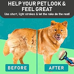 Maxpower Planet Original Pet Grooming Rake