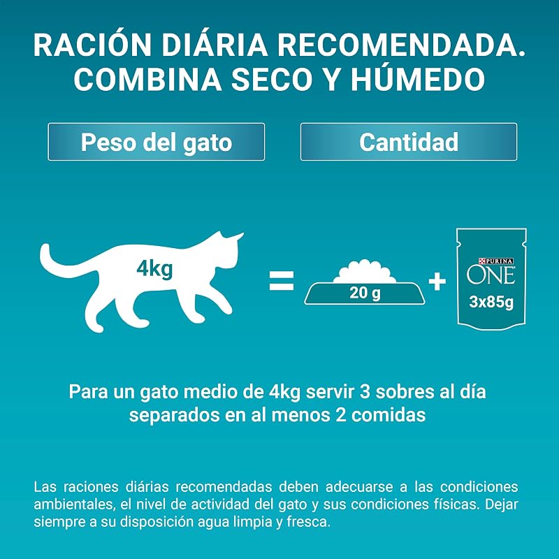 Purina one comida úmida para gatos adultos filés ao molho com frango 12 x [4 x 85 g]
