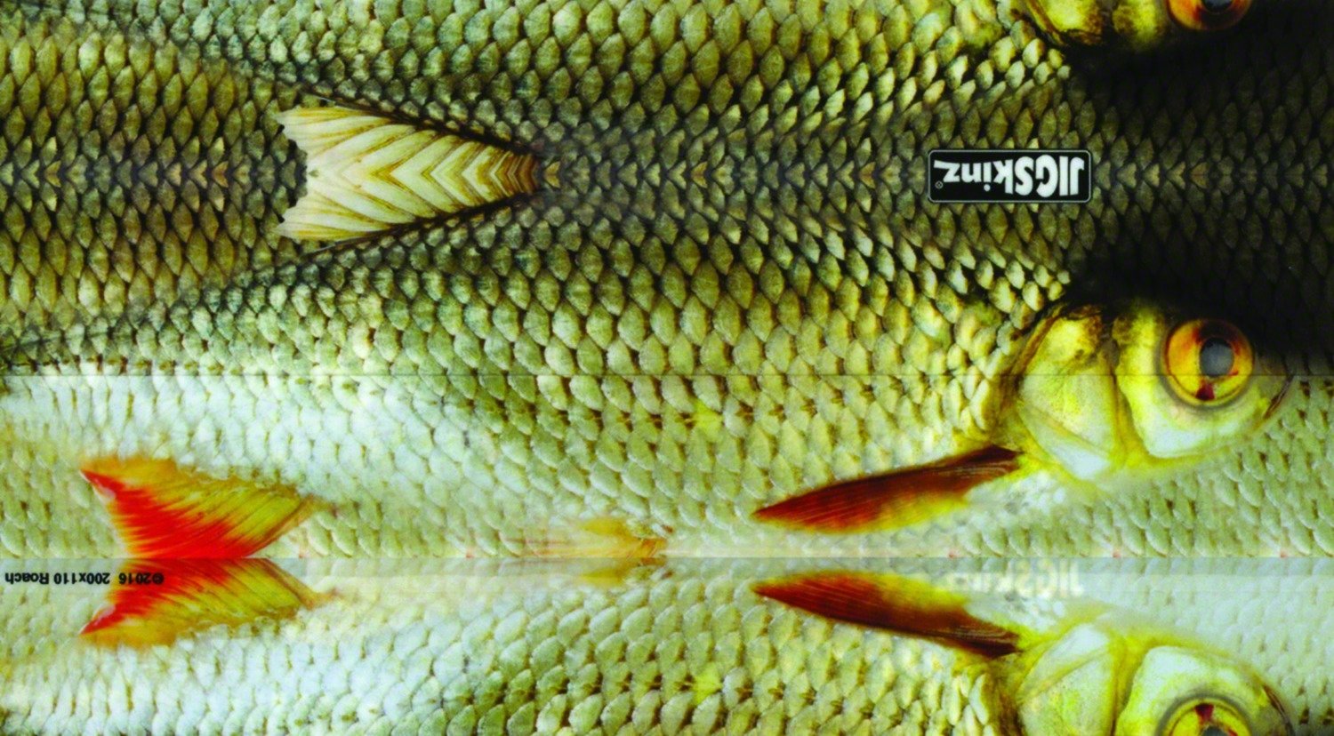 海外輸入 フライリール B078mzz4zw 金属製フライリール 013 Jsw Gb 65h 左巻き ベアリング 図色 ドラグ付き Goodgoods 左巻き イカダリール 図色 筏用リール フィッシングリール 春のコレクション Www Aiq Aiq Com Mx