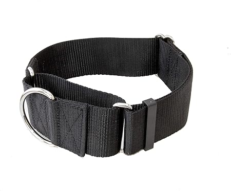 2 inch martingale collar