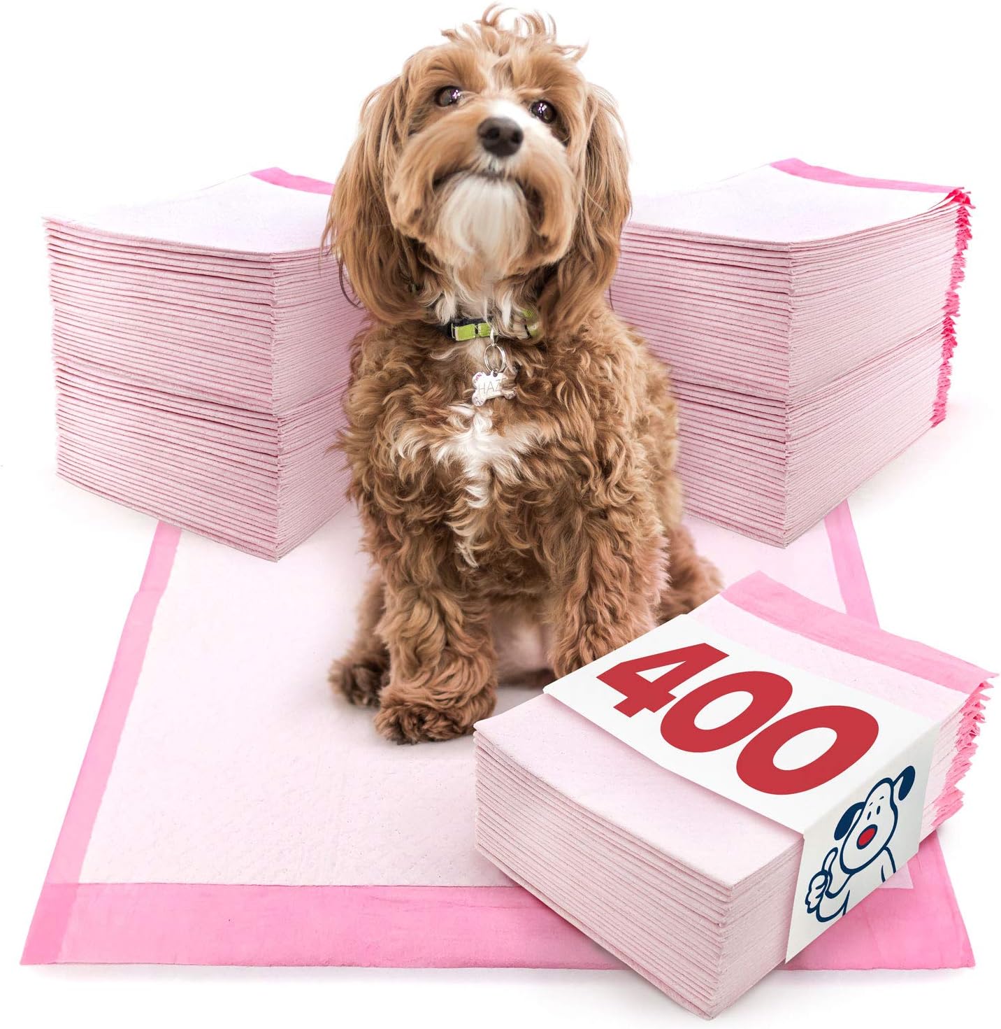 puppy tearing up puppy pads