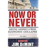 Now or Never: Saving America from Economic Collapse