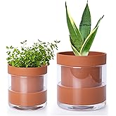 Phoenix Vine 4 Inch 6 Inch Self Watering Planter Pots, Terracotta Clay Pots with Glass Reservoir for Indoor Plants, Herbs, Flowers, 52-A-G-46