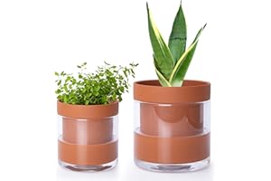 Phoenix Vine 4 Inch 6 Inch Self Watering Planter Pots, Terracotta Clay Pots with Glass Reservoir for Indoor Plants, Herbs, Flowers, 52-A-G-46