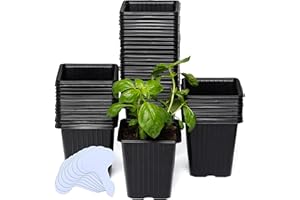 CARPATHEN 60Pack Square Nursery Pots - 3.8 Inch Reinforced Nursery Pots for Plants with Drainage - Reusable Seed Starter Pots for Flowers, Vegetables - Seedling Pots Kit with 10 Plastic Reusable Tags