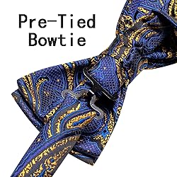 Hi-Tie Mens Suit Vest Bowtie Set Ties for Men V