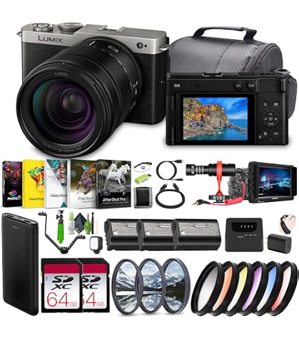 Amazon.com : Pansonic LUMIX S9 Full Frame Camera with 28-200mm L