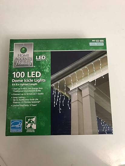 Amazon Com Home Accents Holiday 100 Light Led Cool White Dome