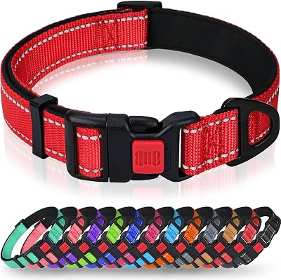 Taglory Reflective Nylon Dog Collar Safety Buckle XS Red