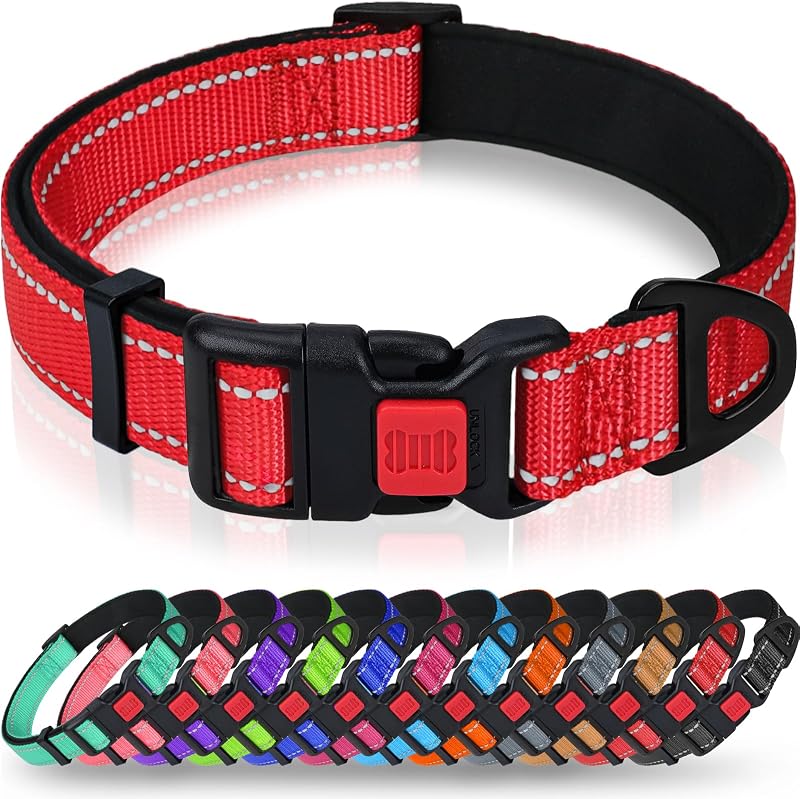 Taglory Reflective Nylon Dog Collar Safety Buckle XS Red