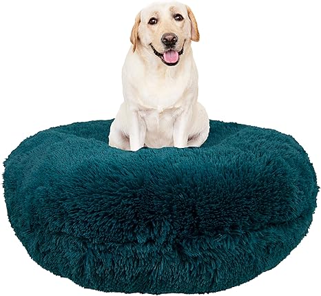 bessie and barnie bagel bed