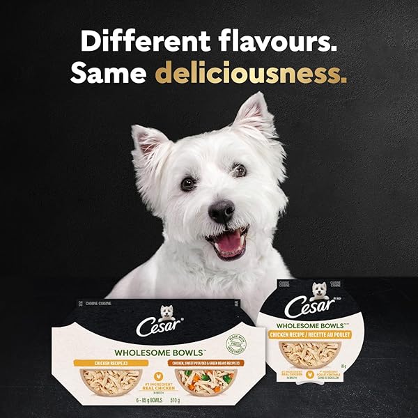 CESAR WHOLESOME BOWLS ADULT WET DOG FOOD, CHICKEN, CARROTS, BARLEY & GREEN BEANS RECIPE AND BEEF, CHICKEN, PURPLE POTATOES & CARROTS RECIPE VARIETY PACK, WET FOOD FOR DOGS, 3 OZ., 6 COUNT