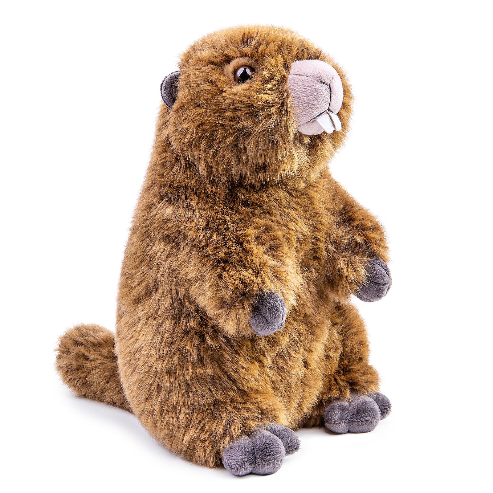 lilizzhoumax Groundhog Plush Toy 25cm/10inch Brown Cute Realistic Stuffed Animal Cute Groundhog Stuffed animal Super Soft Cuddly Funny for Kids Girls Boys Home Decor
