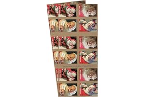 UNITED STATES POSTAL SERVICE Sparkling Holiday Forever Postage Stamp 2 Books of 20 First Class US Postal Christmas Celebrations Wedding Anniversary Party Traditions (40 Stamps)