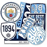 Desert Cactus Manchester City Stickers Man City MCFC Sheet Vinyl Football Soccer Premier League Decal Laptop Water Bottle Car Scrapbook Sheet (Type 2)