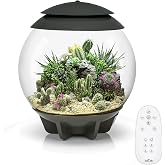biOrb AIR 30, Fully Automated Terrarium for Arid, Temperate, or Tropical Plants, Gray
