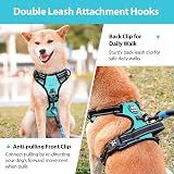 PoyPet No Pull Dog Harness Reflective Front & Back Clips Mint Blue Medium view 3
